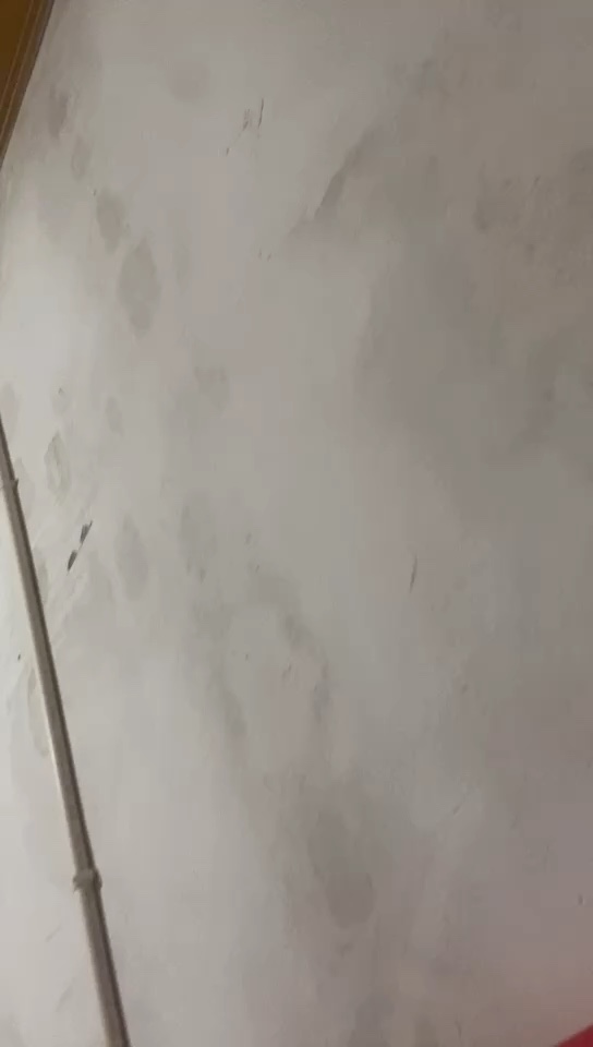 无未编辑专业未编辑专业未编辑专业