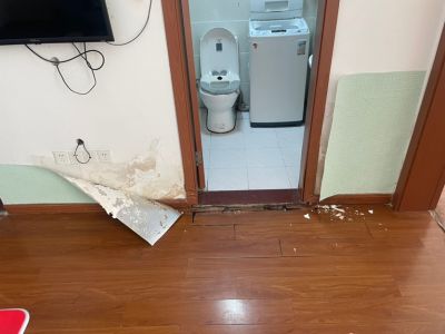 杨先生未编辑专业未编辑专业未编辑专业