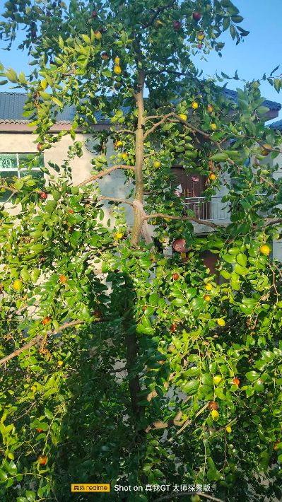 无安装窗帘未编辑专业未编辑专业