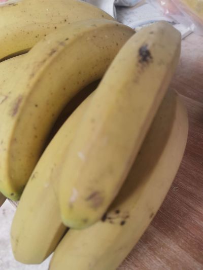 无未编辑专业未编辑专业未编辑专业