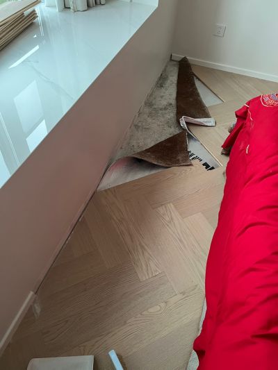 金崇献未编辑专业未编辑专业未编辑专业