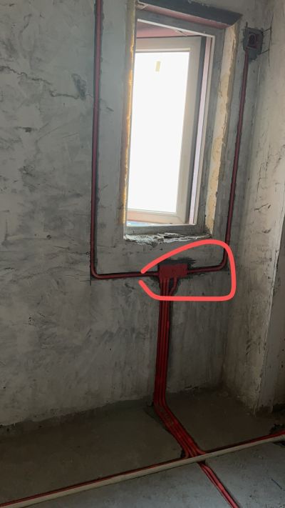 王青婷未编辑专业未编辑专业未编辑专业