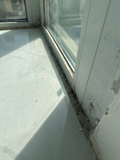 冀未编辑专业未编辑专业未编辑专业