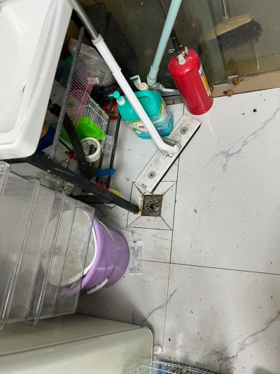 毛胡未编辑专业未编辑专业未编辑专业