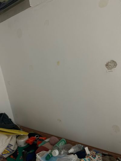 无未编辑专业未编辑专业未编辑专业