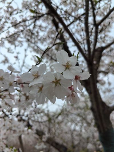 王娟未编辑专业未编辑专业未编辑专业
