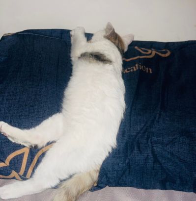 机电未编辑专业未编辑专业未编辑专业