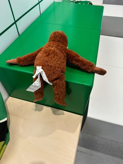 装修设计未编辑专业未编辑专业未编辑专业