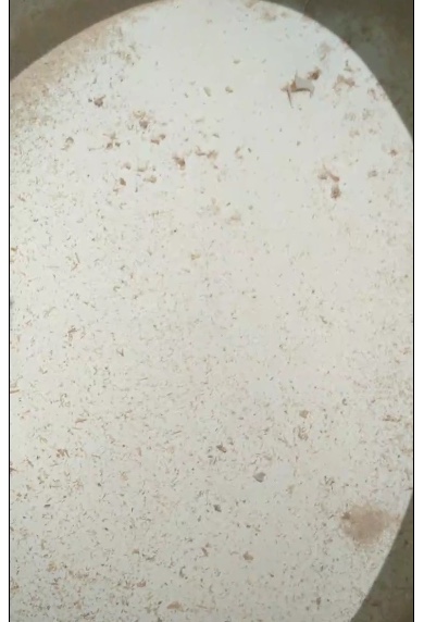蔡杰未编辑专业未编辑专业未编辑专业