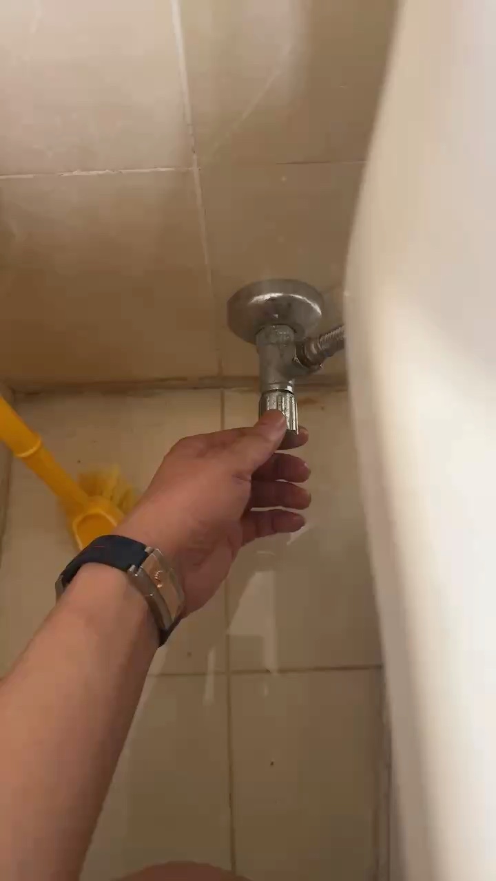 宠物未编辑专业未编辑专业未编辑专业