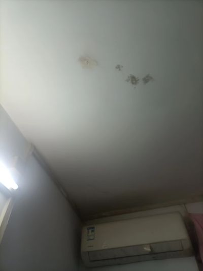 廖女士未编辑专业未编辑专业未编辑专业
