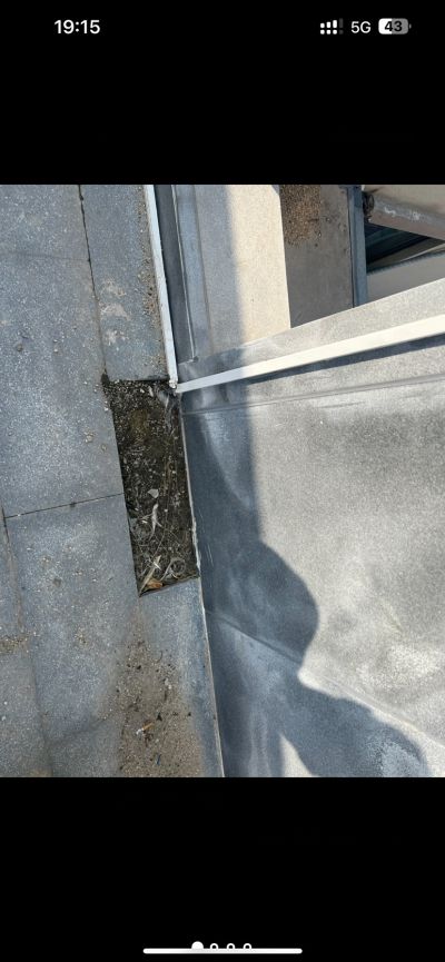 宋鑫雨未编辑专业未编辑专业未编辑专业