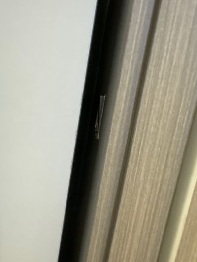 石燕未编辑专业未编辑专业未编辑专业