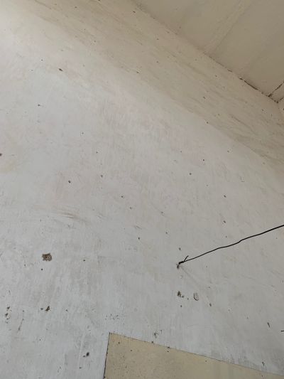 赵洋洋未编辑专业未编辑专业未编辑专业