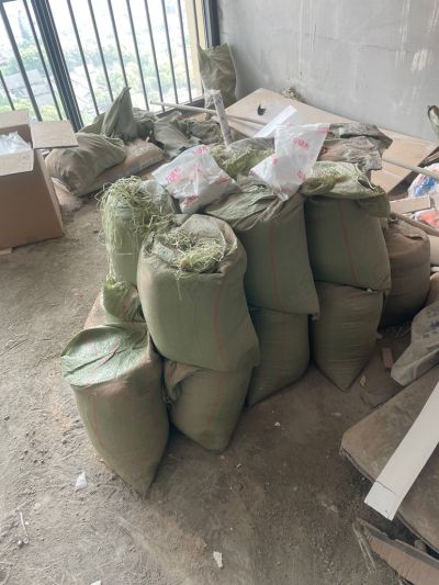 无未编辑专业未编辑专业未编辑专业