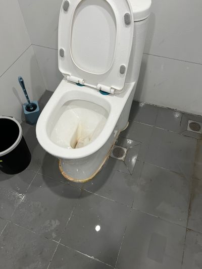 邓未编辑专业未编辑专业未编辑专业