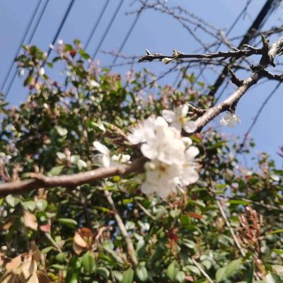 灯具安装装修水电承包水电安装改造水电改造安装