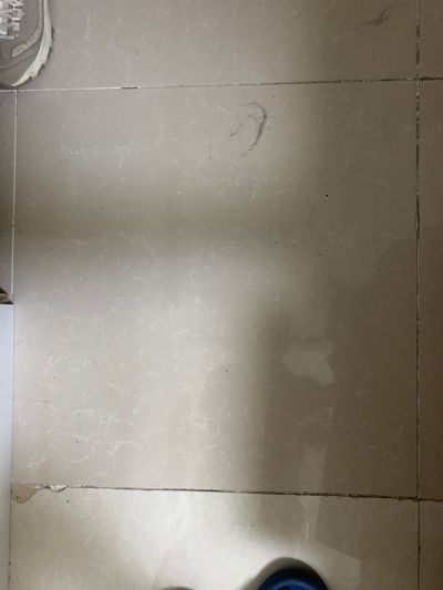 谢东未编辑专业未编辑专业未编辑专业