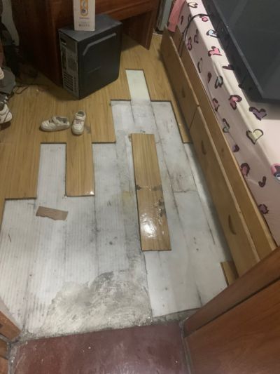 无未编辑专业未编辑专业未编辑专业