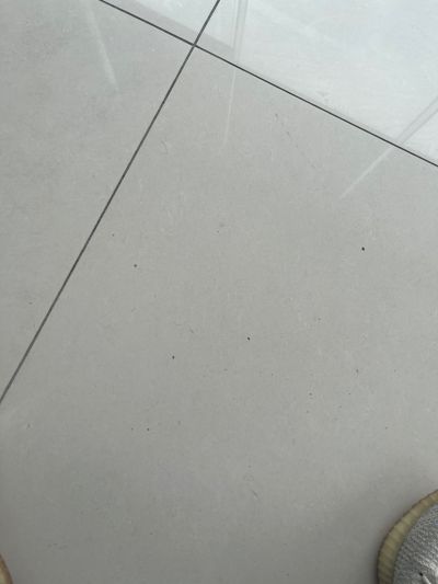 找人接电未编辑专业未编辑专业未编辑专业