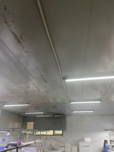无未编辑专业未编辑专业未编辑专业