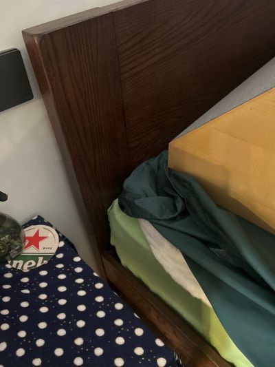 陈诗静未编辑专业未编辑专业未编辑专业