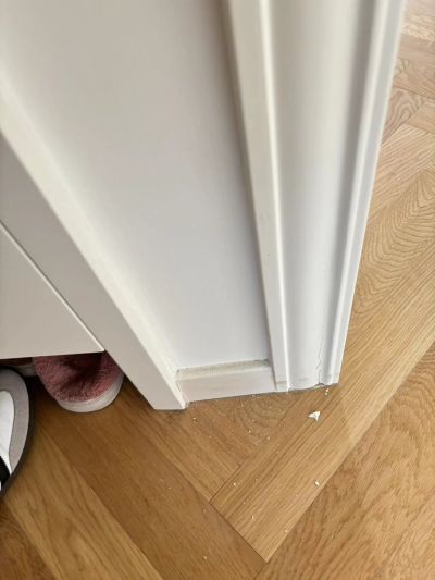 无未编辑专业未编辑专业未编辑专业