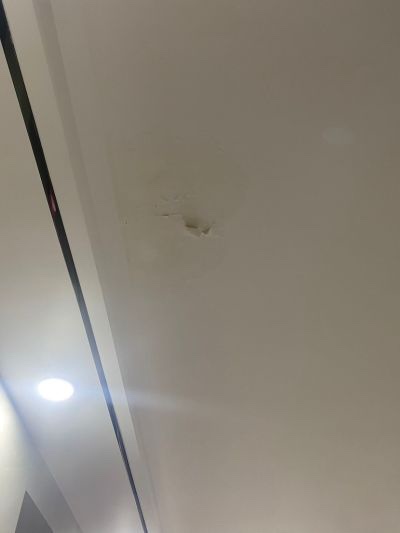 张女士未编辑专业未编辑专业未编辑专业