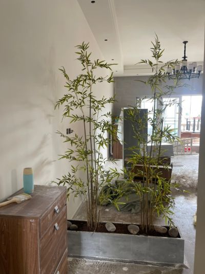 豆豆未编辑专业未编辑专业未编辑专业