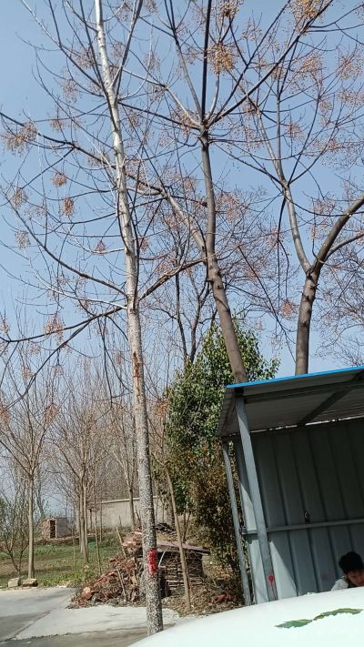 拆除打孔切割拆除清运拆除清运拆除清运