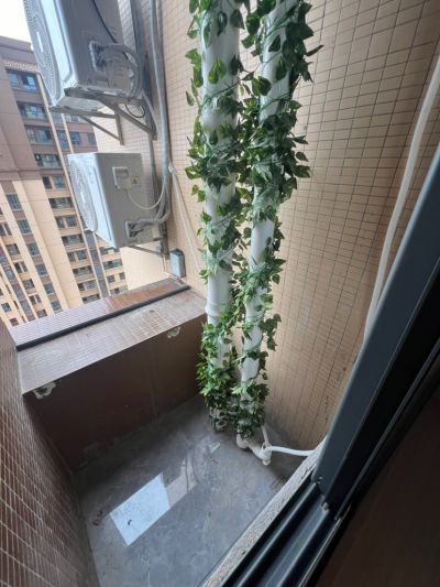 施生赟未编辑专业未编辑专业未编辑专业