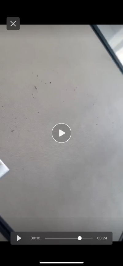 陈未编辑专业未编辑专业未编辑专业
