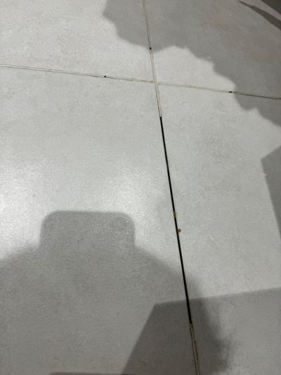 枫哥未编辑专业未编辑专业未编辑专业
