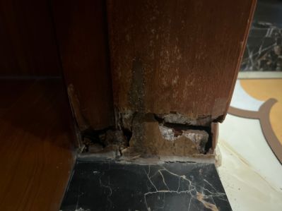 无未编辑专业未编辑专业未编辑专业