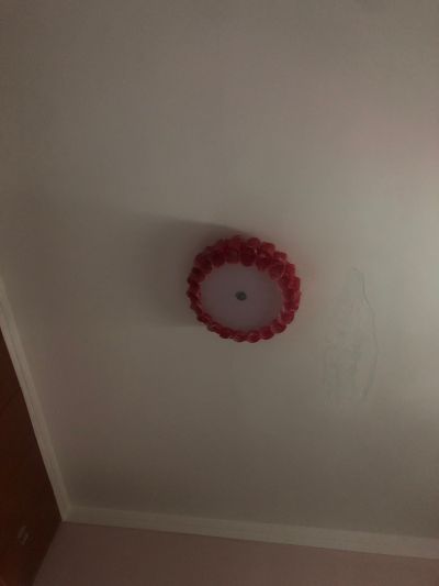 黑娃未编辑专业未编辑专业未编辑专业