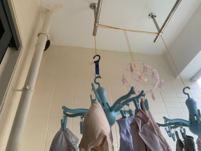 李女士未编辑专业未编辑专业未编辑专业