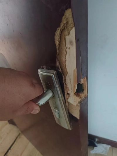陈玉娜未编辑专业未编辑专业未编辑专业
