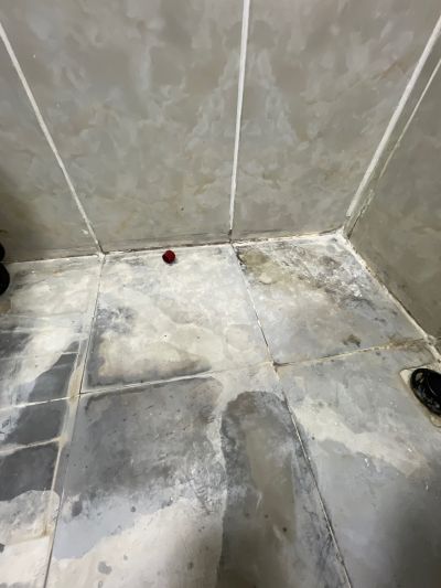 杨小姐未编辑专业未编辑专业未编辑专业