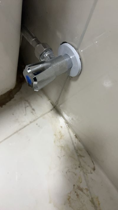 岑丹丹未编辑专业未编辑专业未编辑专业