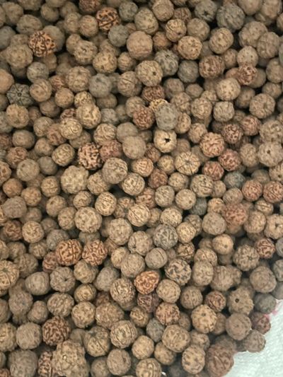 陈赫未编辑专业未编辑专业未编辑专业