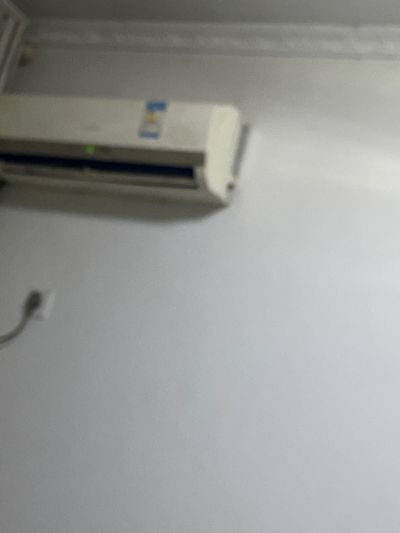 高高未编辑专业未编辑专业未编辑专业