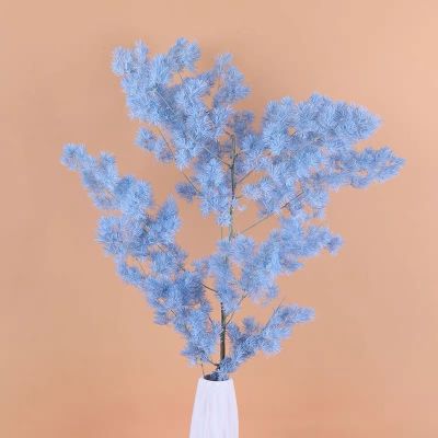 王祥未编辑专业未编辑专业未编辑专业