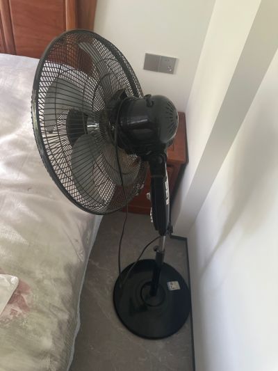 刘中为未编辑专业未编辑专业未编辑专业