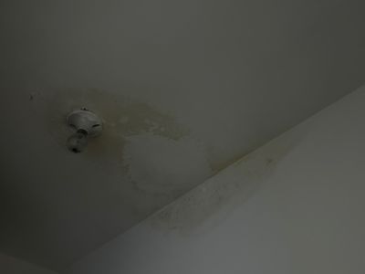 王昕未编辑专业未编辑专业未编辑专业