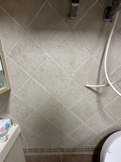 顾未编辑专业未编辑专业未编辑专业