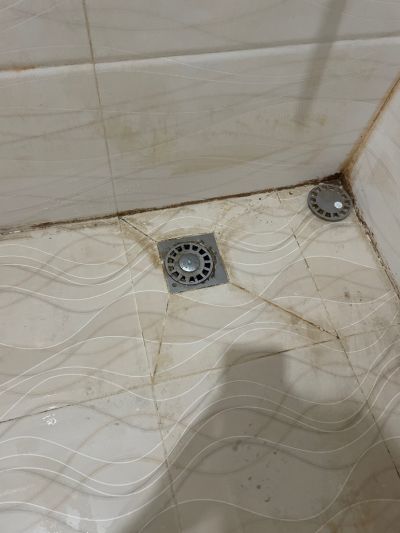 王建学未编辑专业未编辑专业未编辑专业