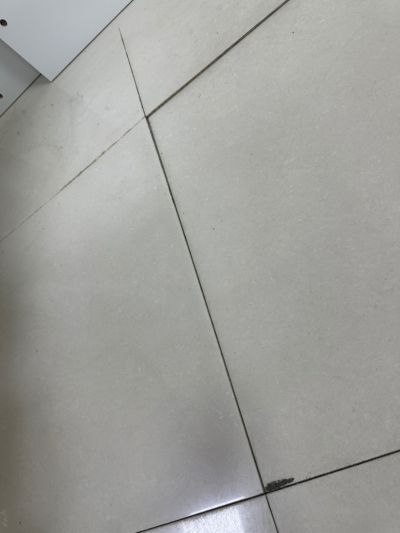 曾雯丽未编辑专业未编辑专业未编辑专业