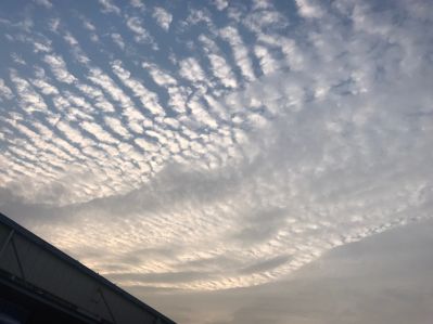 李沣洪未编辑专业未编辑专业未编辑专业