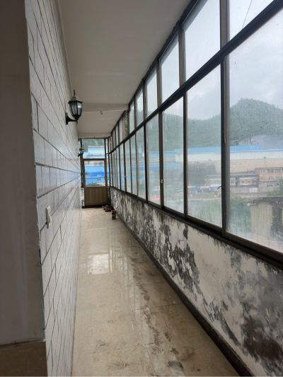 杨雨碟未编辑专业未编辑专业未编辑专业