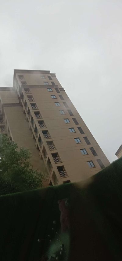 无未编辑专业未编辑专业未编辑专业